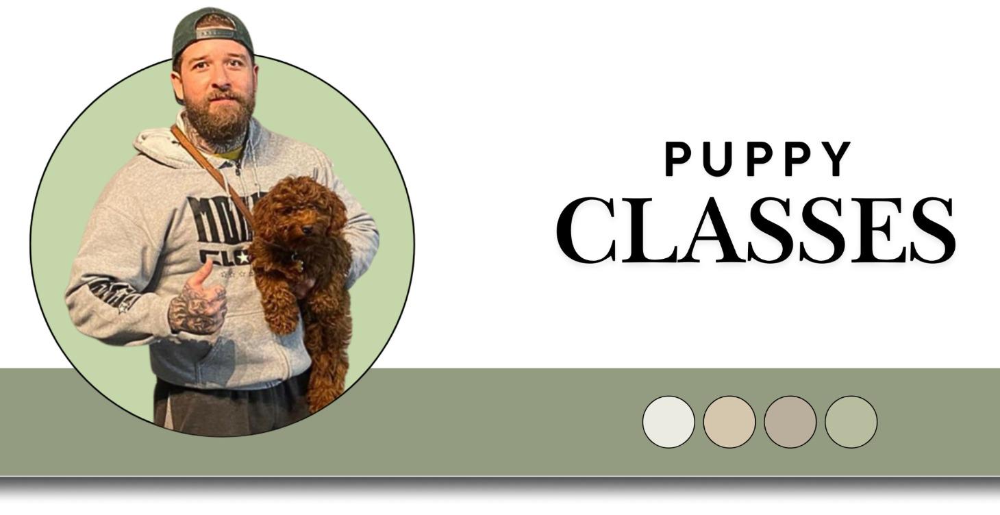Puppy Classes Starts Jan 2nd