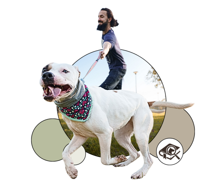 How Emotion and Chemistry Shape Your Dog’s Behavior | Leash Reactivity