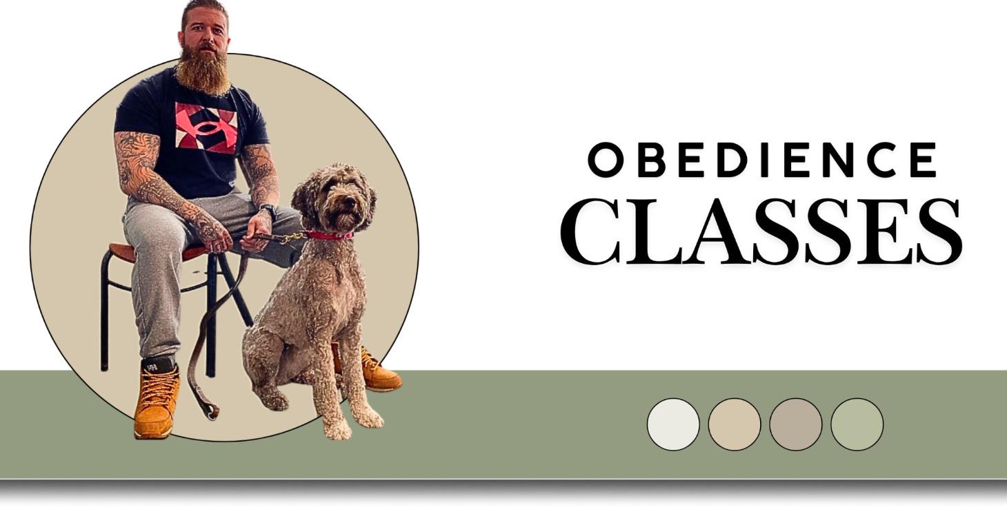 Obedience Classes Starts Dec 1st