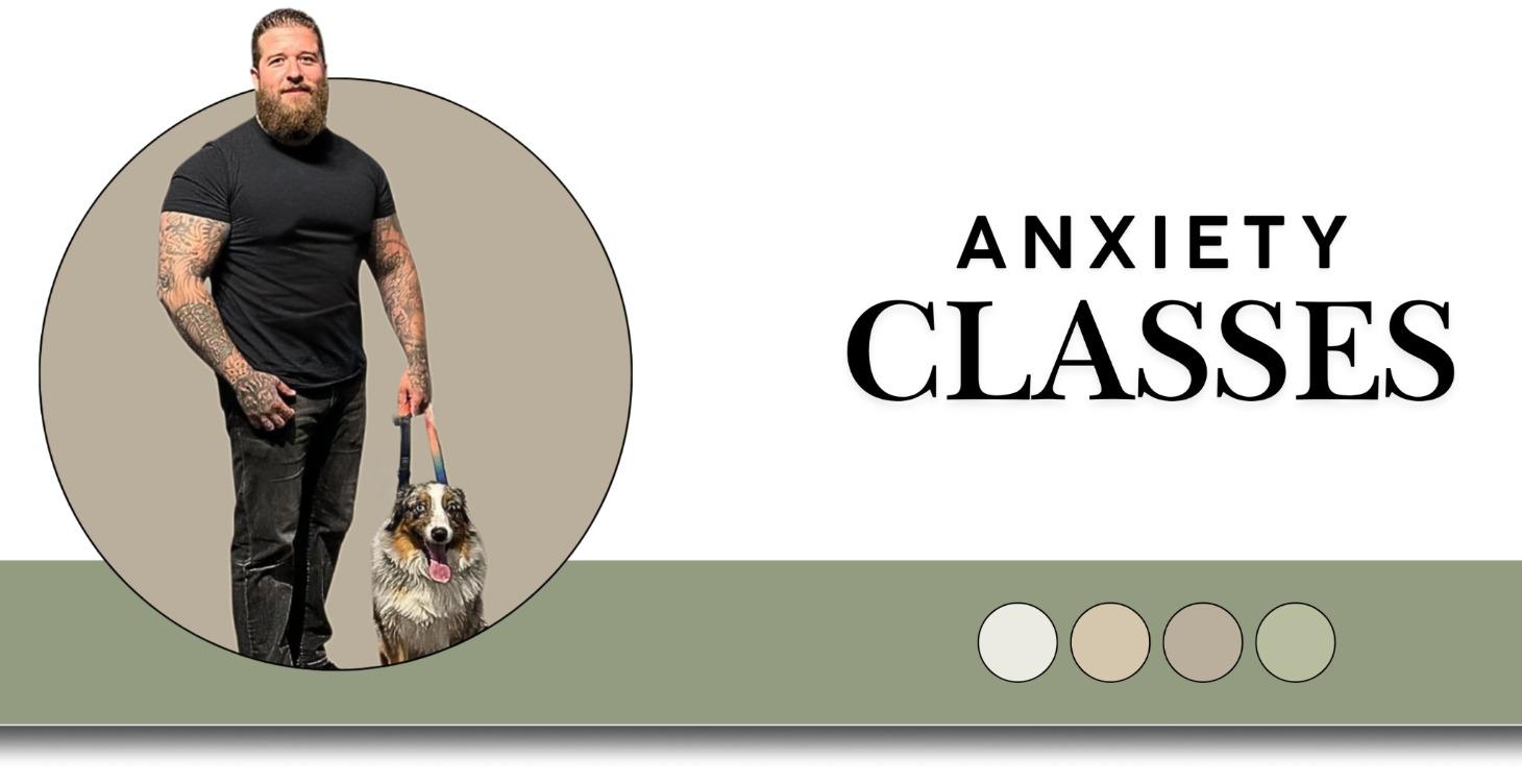 Anxiety Classes | Starts Jan 7th