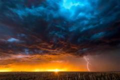 Twisted Southern Heat