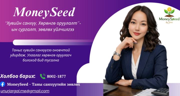 "MoneySeed" Хөрөнгө оруулагчид