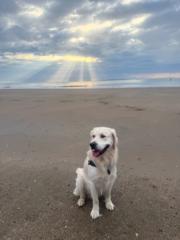 Jane Webb