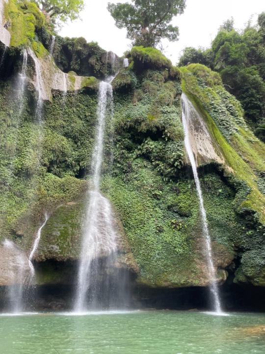 Van Tu Dang