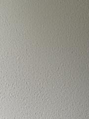 Samanda Graf-Tassone