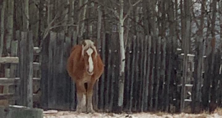 Farming Framing and Hunting
