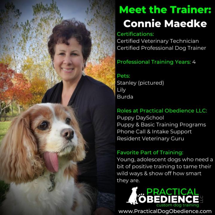 Connie Maedke