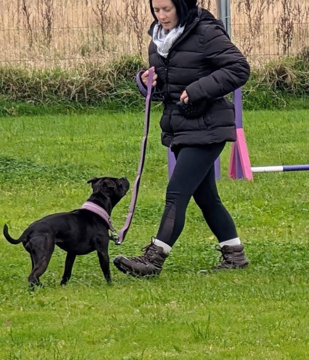 Frances Puckey - Starkie