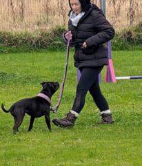 Frances Puckey - Starkie