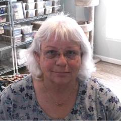 Karen Adams