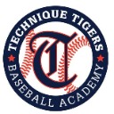 Technique Baseball Online  