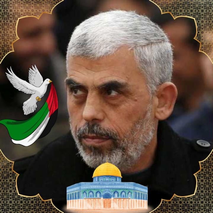 Mohamed Zohir