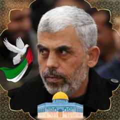 Mohamed Zohir