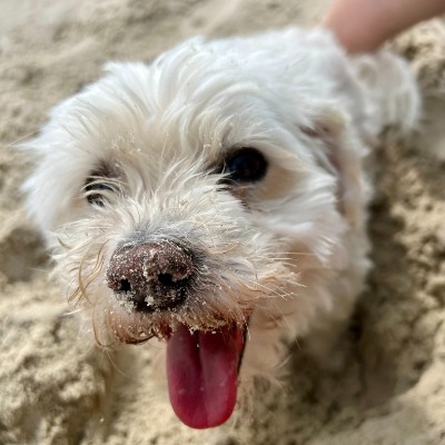 Reinhard Kaul-Seeger