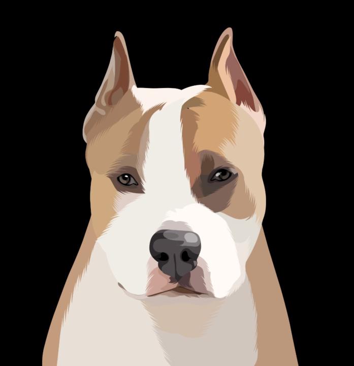 Cristina Nieto Ramírez