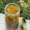 Herbalism icon