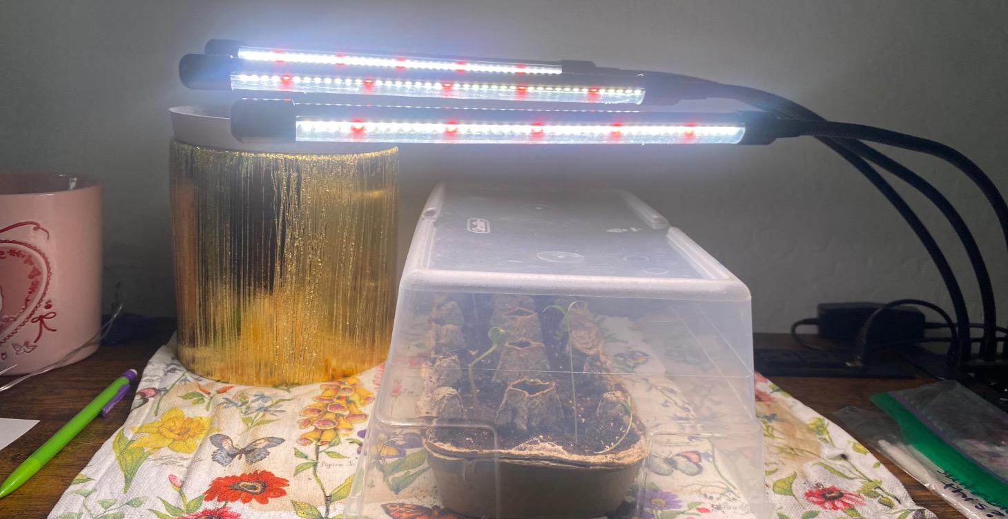 Up-Cycled See Starting Techniques