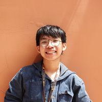 Tuan Nguyen Vo Anh