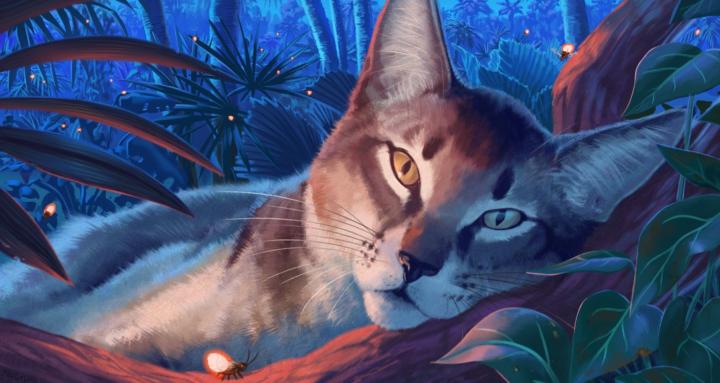 Cattery - Delivery & Care