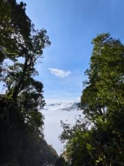 Bùi Trường