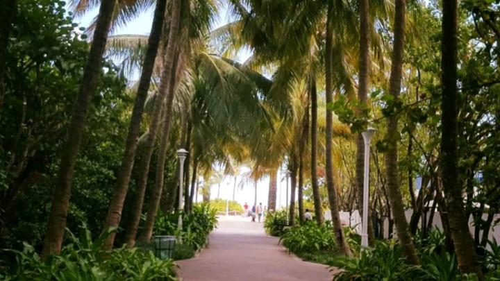 Sandra Thieme-Zisler