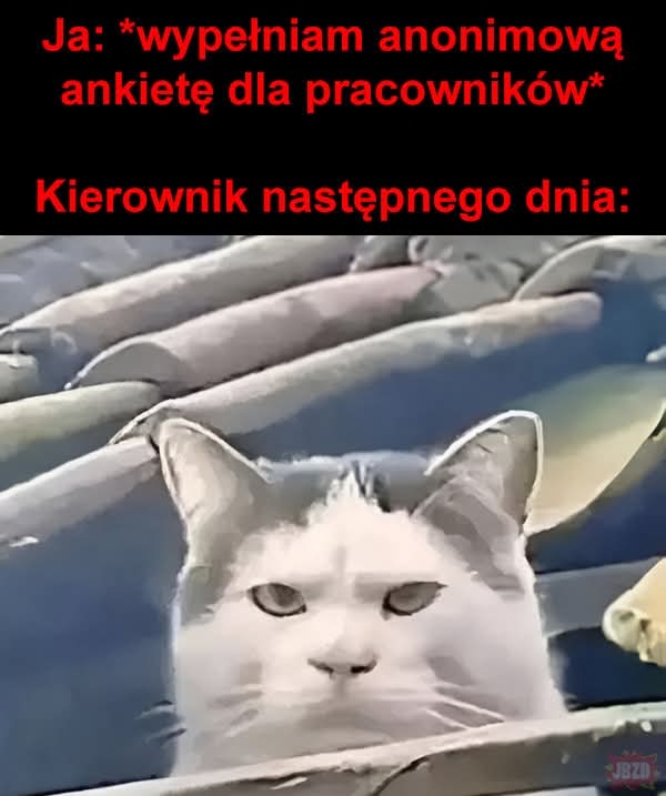 Bartek Bartek