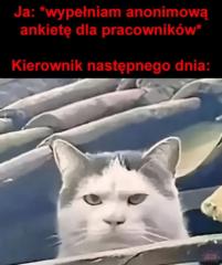 Bartek Bartek