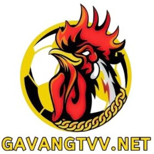 GaVang Tv