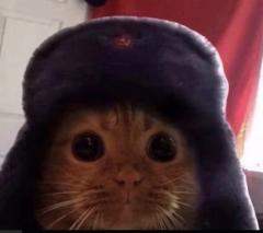 Little Timmy