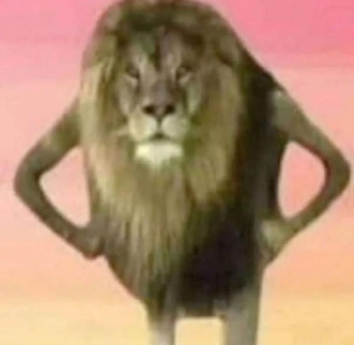 Jeffrey Chow