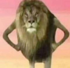 Jeffrey Chow