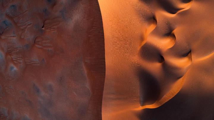 Moisés Sanchez Charles