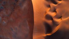 Moisés Sanchez Charles