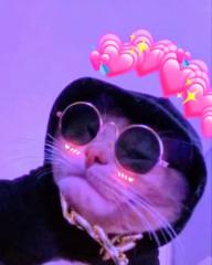 Damian Gerrero Guerrero  Velázquez