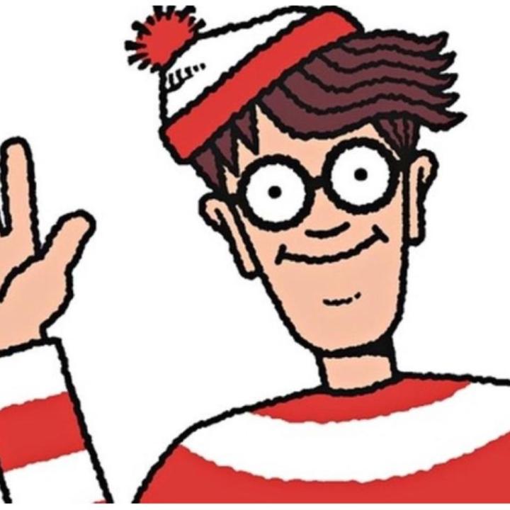 Waldo Vem