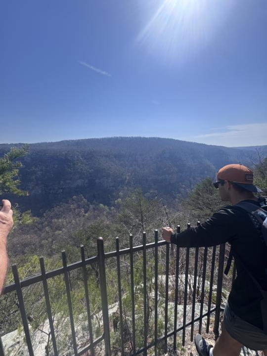 Cloudland Canyon Views