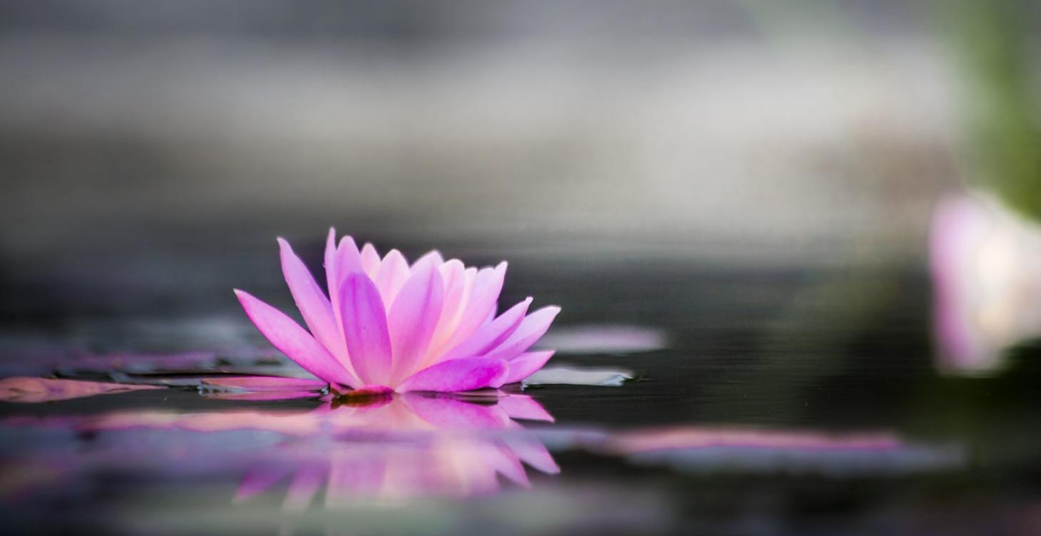 3. Find Your Relaxation Switch