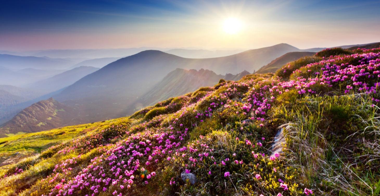 4 - Staying with the Process