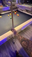 Alejandro Jurado Estrada