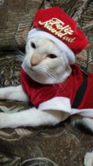 Jhade Yoshidayra Hermelinda Rebatta Liñan