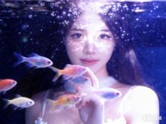 Huijia Liu