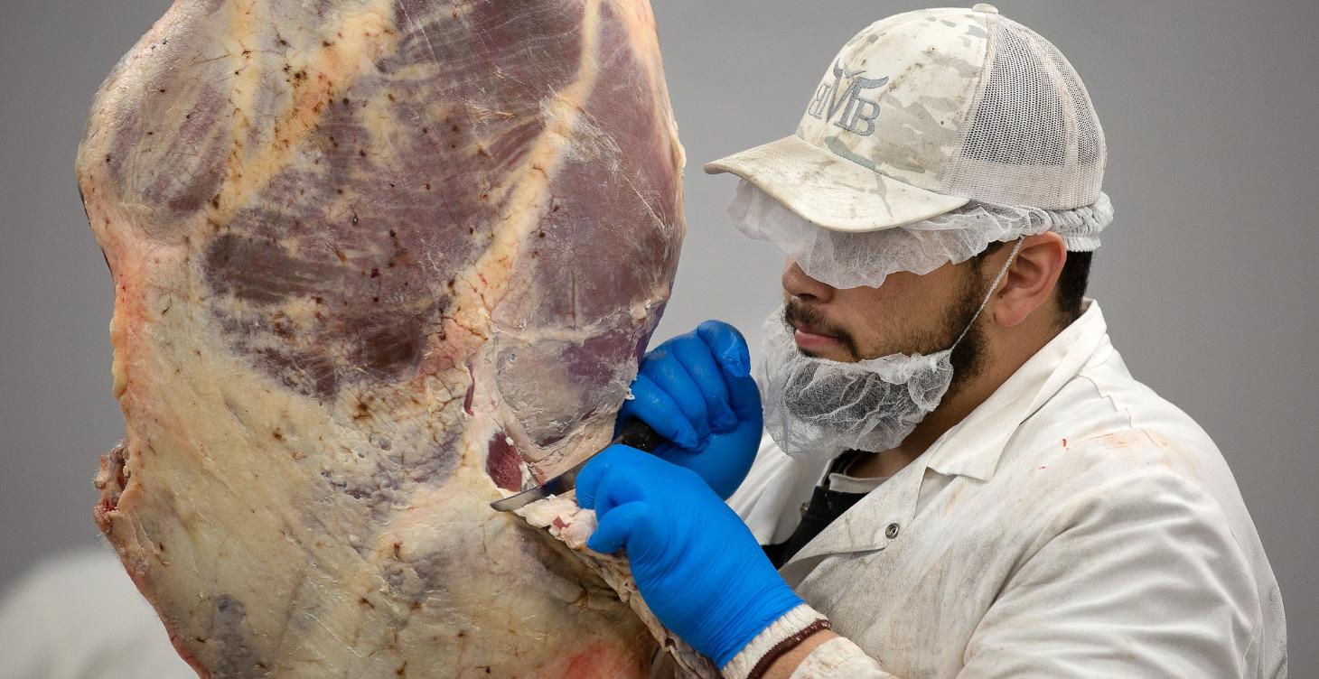 Remove and cut Filets or Tenderloins