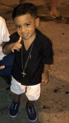 T Harrison
