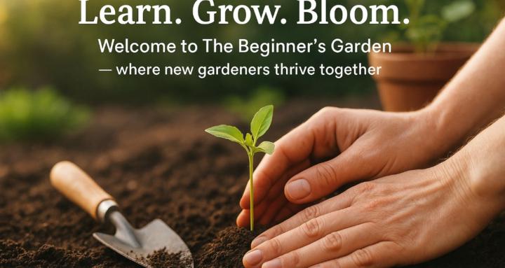 The Beginners Garden