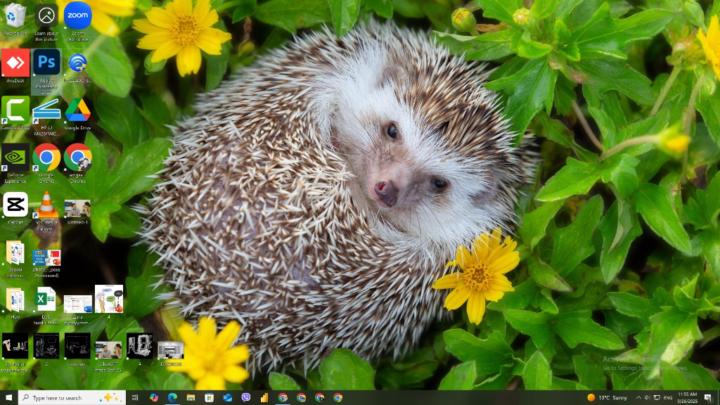 Энх-Амгалан Өлзийсүрэн