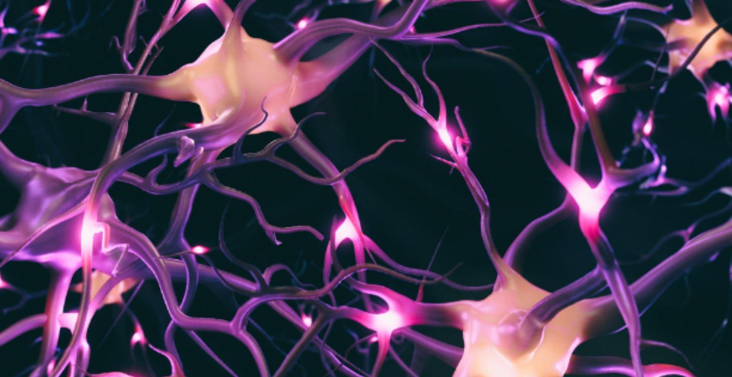 Nervous System Reset