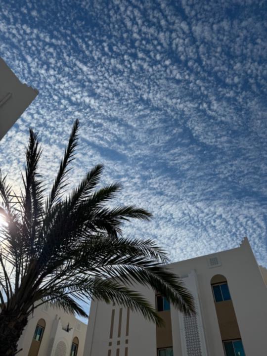 Melvin earnest Thomas