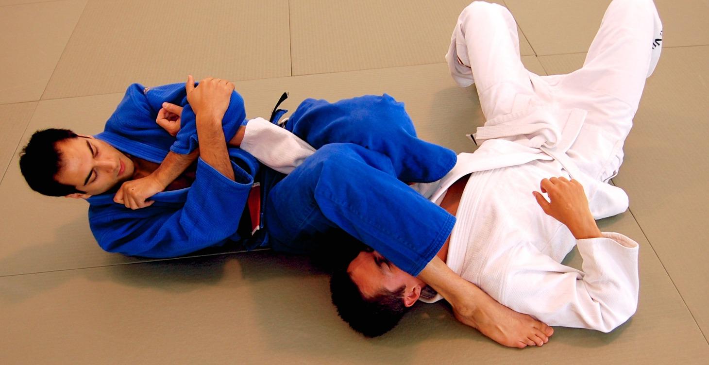 Blue Belt Requirements