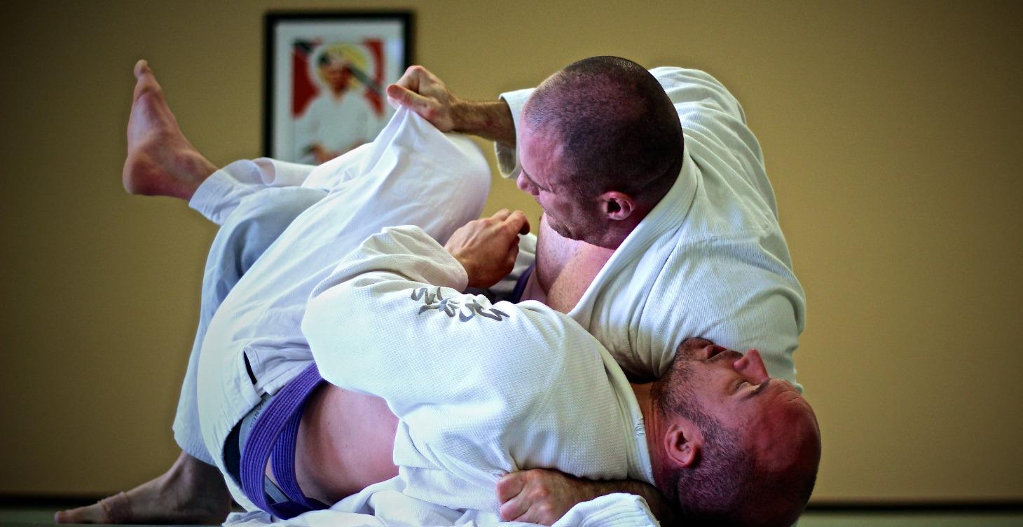 Pure Rolling 1 : Jiu Jitsu Explained