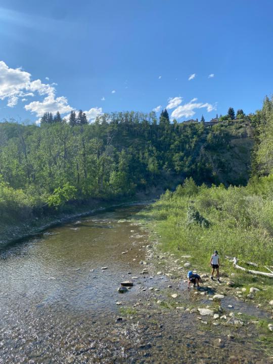 Mariana Rozo Rodriguez